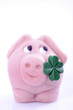 Lucky pig with four-leafed clover, close-up