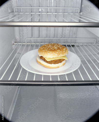 Photo: Hamburger in fridge Hamburger in fridge