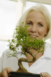 Senior woman holding potted bonsai tree, smiling, portrait, close-up