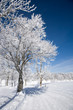 Winterwanderweg