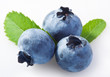 bilberry on a white background