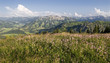 Allgäuer Weite