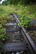 bahngleis