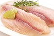 Pangasius