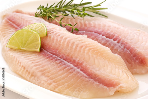 Foto: Pangasius Pangasius