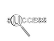 success text with magnifier success text with magnifier
