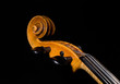 Violinendetail, Schnecke und Griffbrett