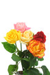 Five roses.