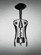A corkscrew