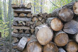 Wood pile