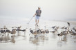 Metal detection at the beach