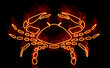 Collection of zodiac signs engulfed in fire