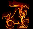Collection of zodiac signs engulfed in fire