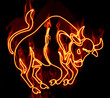Collection of zodiac signs engulfed in fire