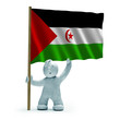 demokratische arabische republik sahara flagge staunen