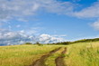 Field road near lake after a rain and the bright sky