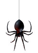 spider spider