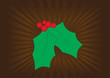 Graphic mistletoe on a brown background