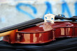 the violin
