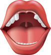 Vector: Missing Teeth Missing Teeth