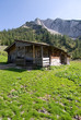 pasilalm 008
