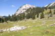 pasilalm 016