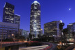 Los Angeles at night under the moonlight