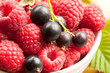 Raspberry with currant