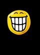smileys