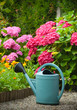arroser son jardin de fleurs - jardiner - arrosage des plantes