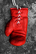 Boxing Glove