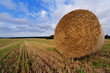 Bale of straw on farmland Bale of straw on farmland