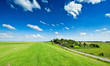 Summer background Summer background