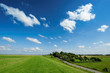 Summer background Summer background