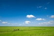 Summer background Summer background