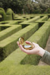 Woman holding compass in hedge maze