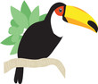Toco Toucan Toco Toucan