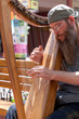 Folk Harpist