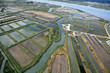 Marais Salants et parcs a Huitres du pays de Marennes (17)