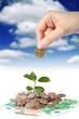 Plant hand and money. Plant hand and money.