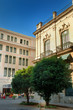 Street in Havana whit Colorful buildings and ornamental trees