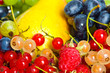 fresh fruits and berry. isolated on  white background