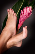 Füße mit Blume