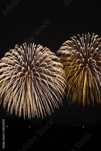 Photo: 2発の花火 2発の花火