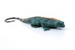 Rubber Lizard Isolated