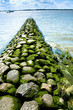 Grüner Weg