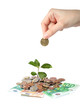 Plant hand and money. Plant hand and money.