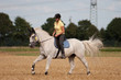Schimmel - Reitpferd