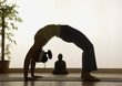 Yoga Highlights