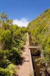 madeira